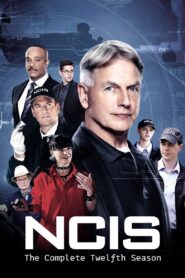 NCIS: Season 12